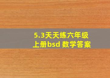 5.3天天练六年级上册bsd 数学答案